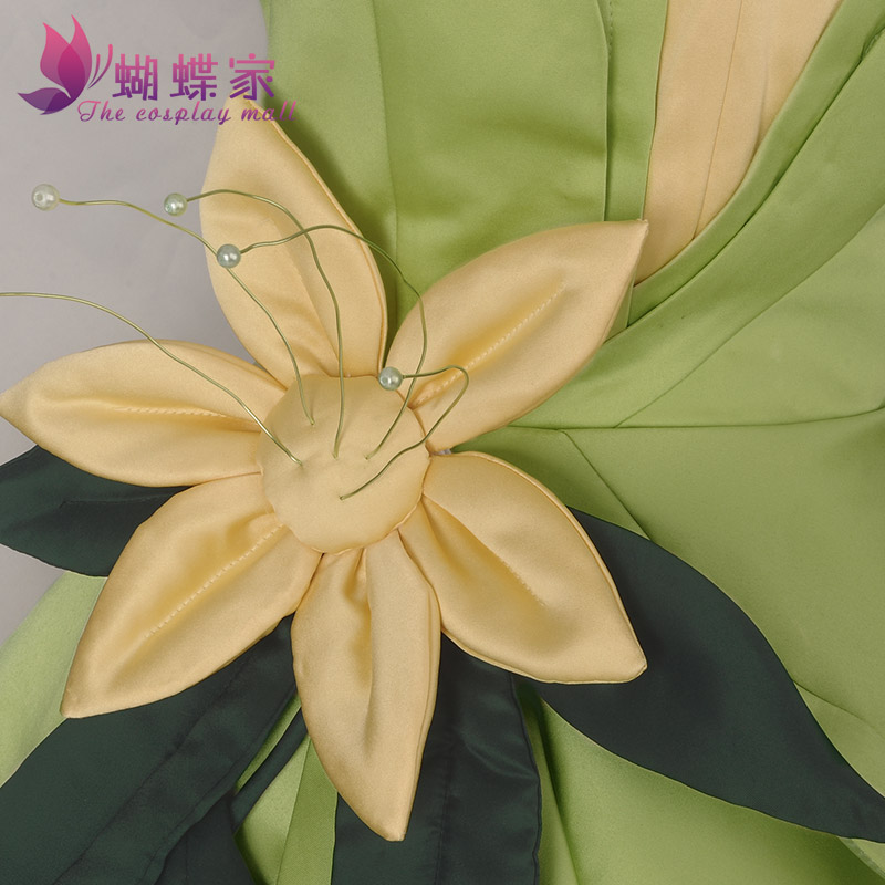 Princess Tiana Dress Cosplay C - Women'S Formal Accessories review and price